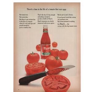 Hunts Catsup Advertisement Vintage 1964 Food Condiment Tomatoes Ketchup Color